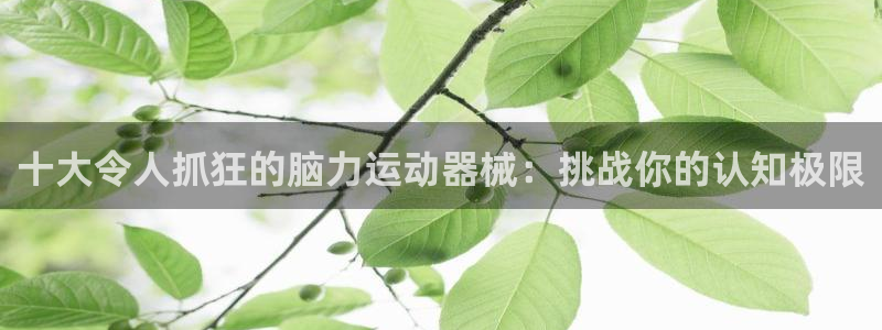 凯时效果怎么样：十大令人抓狂的脑力运动器械：挑战你的