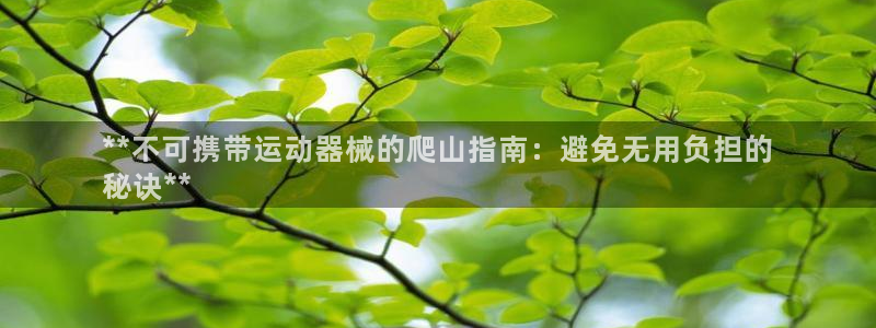 尊龙游戏中心：**不可携带运动器械的爬山指南：避免无